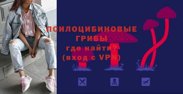 винт Алексин