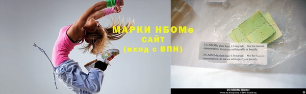 стаф Алзамай