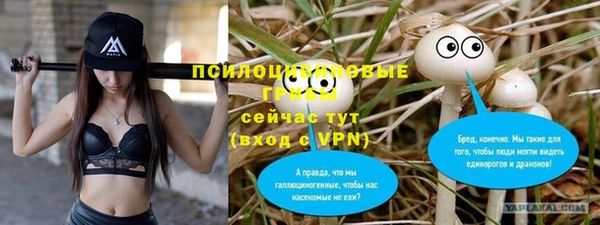 крисы Абдулино