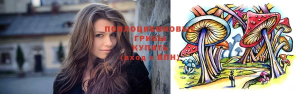 стаф Абаза