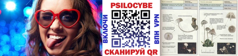 Галлюциногенные грибы Magic Shrooms  Щучье 